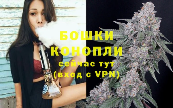 шишки Коряжма