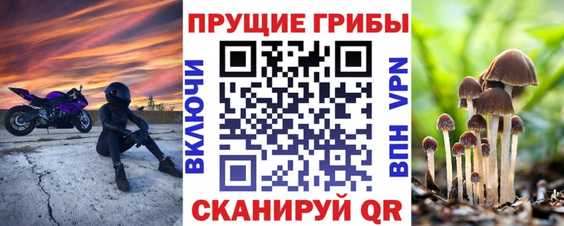 как найти наркотики  Фёдоровский  Псилоцибиновые грибы мухоморы 