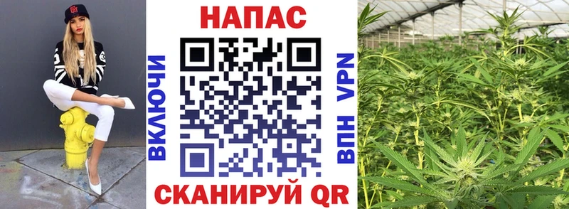darknet Telegram Фёдоровский МАРИХУАНА White Widow